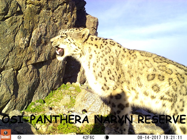 M2E69L201-201R399B417