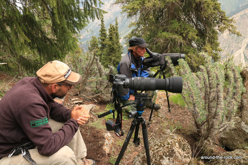 20097522328_5e759cb8eb_b